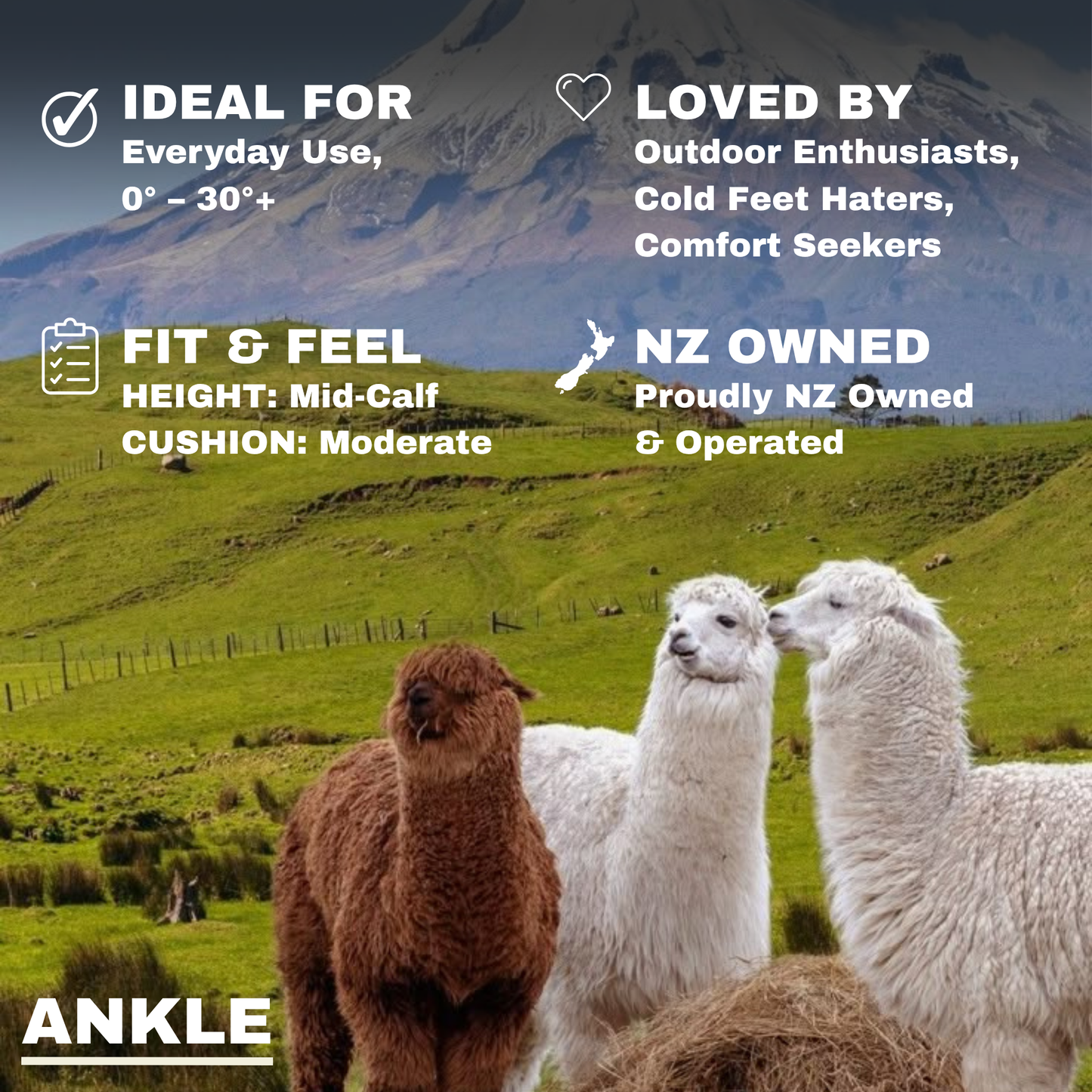 Ankle Socks Multi-Colour Packs