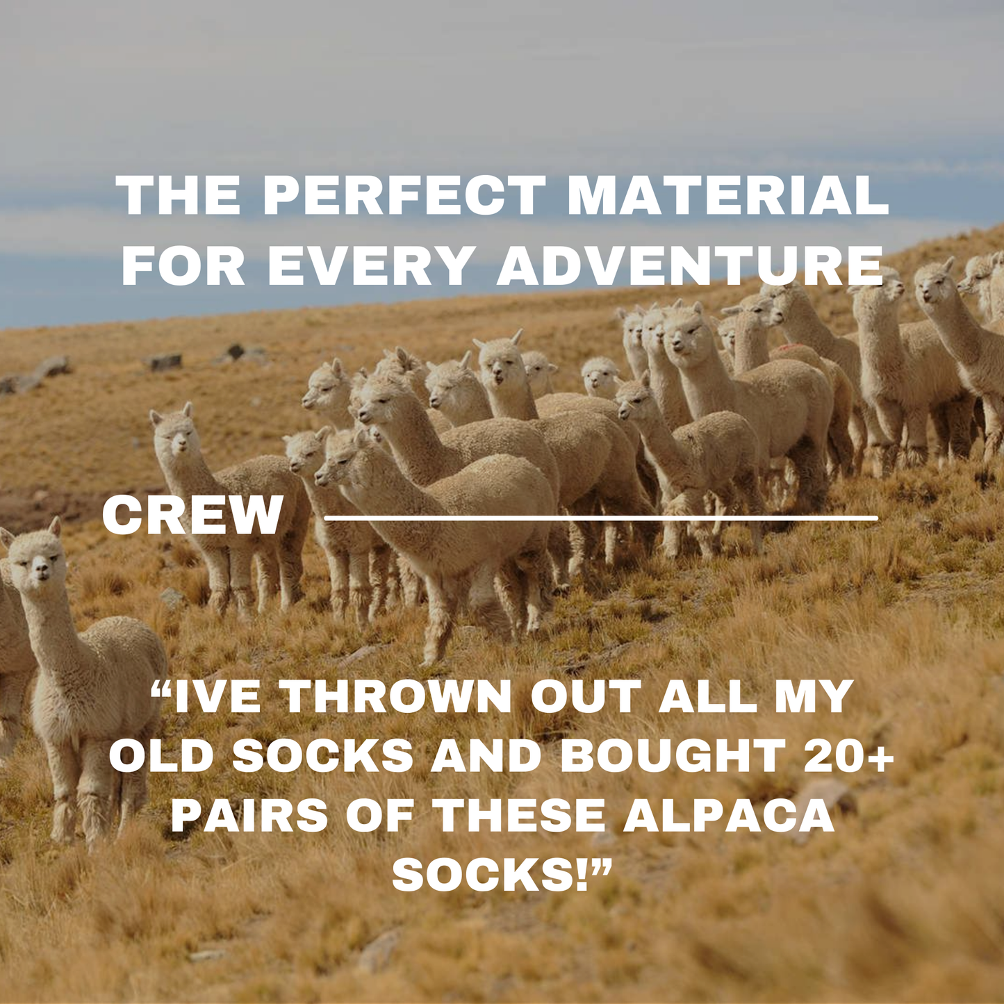 Crew Socks