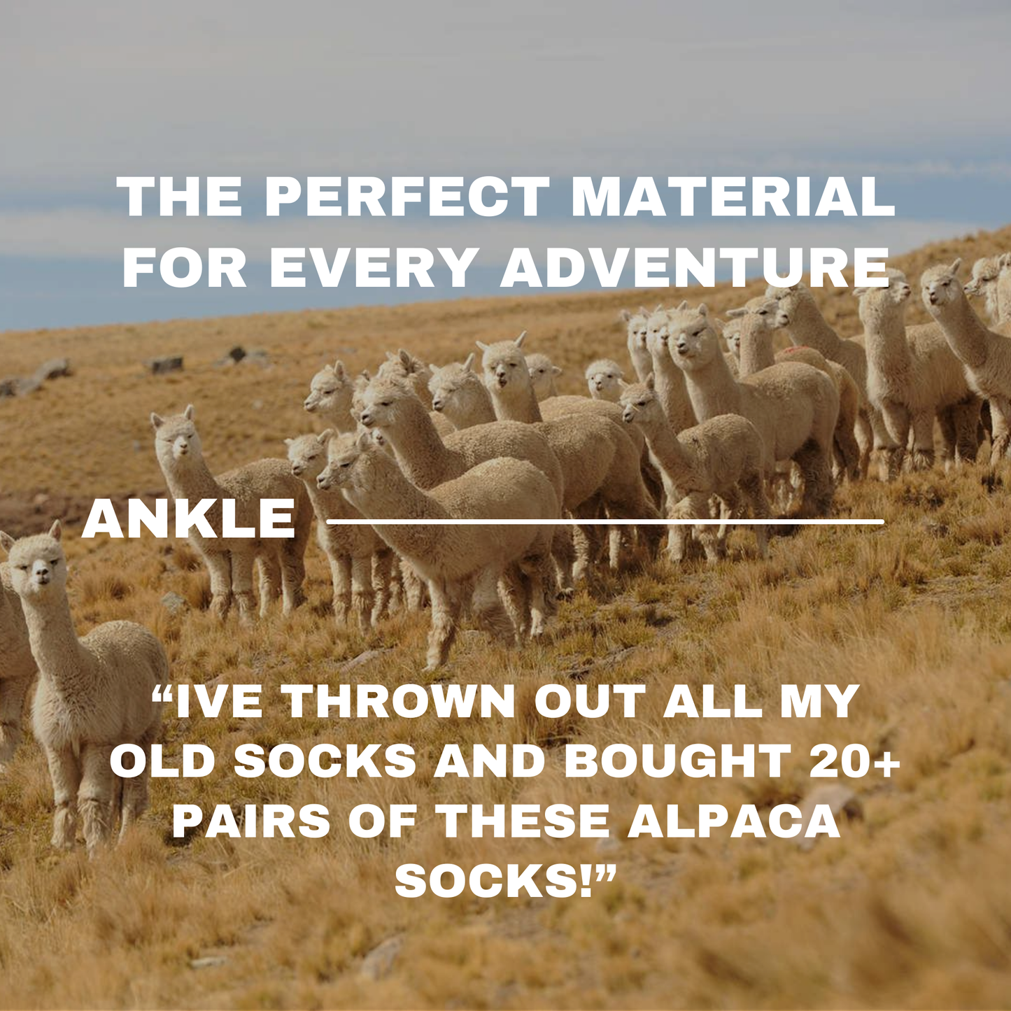 Ankle Socks Multi-Colour Packs